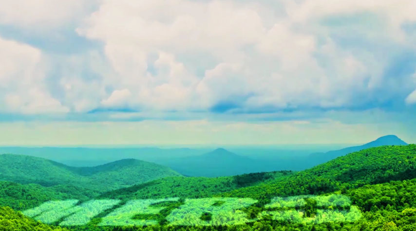 威客电竞集团形象片（中文版）