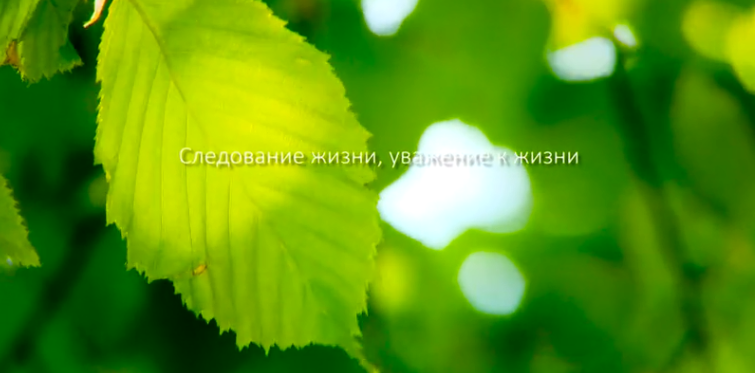 威客电竞集团形象片（русский）