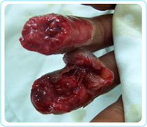 威客电竞(vkgame)-为竞技而生