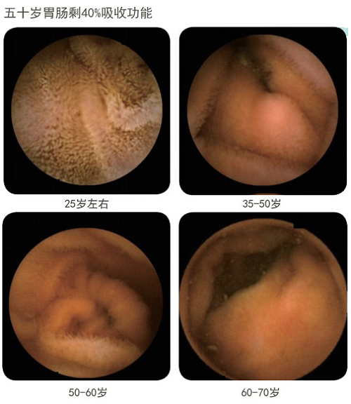 威客电竞(vkgame)-为竞技而生