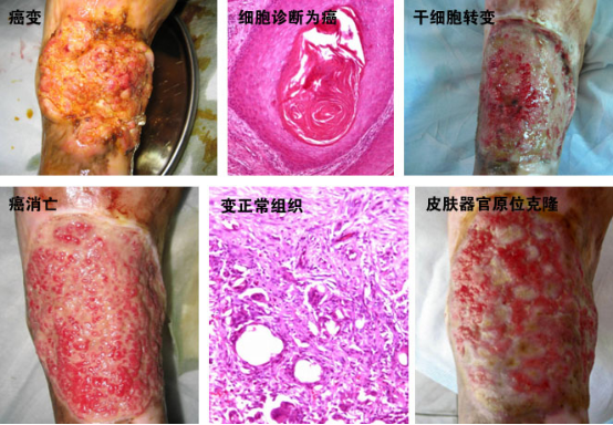 威客电竞(vkgame)-为竞技而生