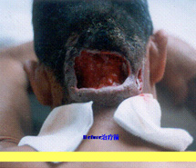 威客电竞(vkgame)-为竞技而生