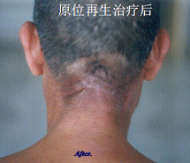 威客电竞(vkgame)-为竞技而生