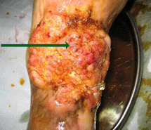 威客电竞(vkgame)-为竞技而生