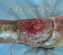 威客电竞(vkgame)-为竞技而生