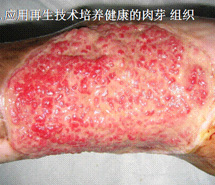 威客电竞(vkgame)-为竞技而生