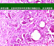 威客电竞(vkgame)-为竞技而生