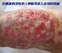 威客电竞(vkgame)-为竞技而生