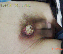 威客电竞(vkgame)-为竞技而生