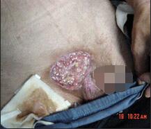 威客电竞(vkgame)-为竞技而生