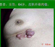 威客电竞(vkgame)-为竞技而生