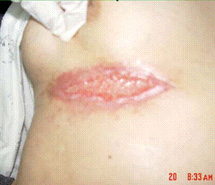 威客电竞(vkgame)-为竞技而生