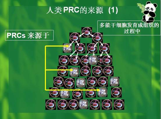 威客电竞(vkgame)-为竞技而生