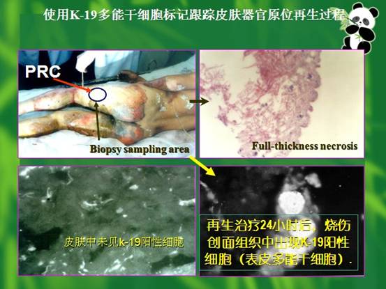 威客电竞(vkgame)-为竞技而生