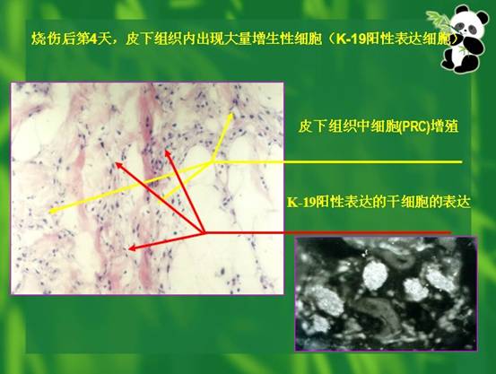 威客电竞(vkgame)-为竞技而生