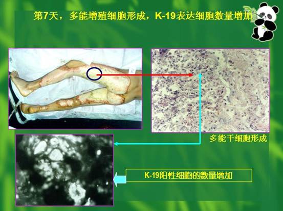 威客电竞(vkgame)-为竞技而生