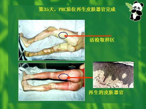 威客电竞(vkgame)-为竞技而生