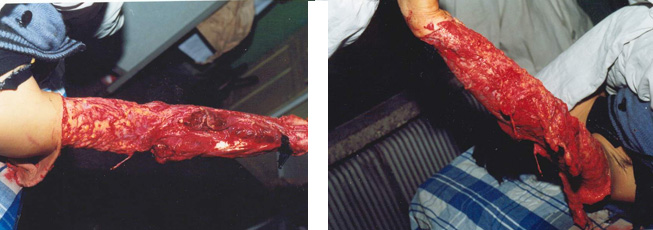 威客电竞(vkgame)-为竞技而生