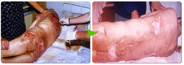 威客电竞(vkgame)-为竞技而生