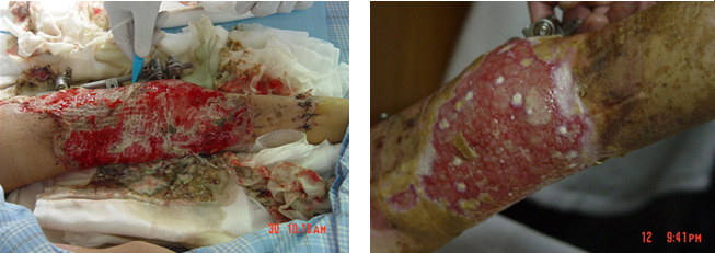 威客电竞(vkgame)-为竞技而生