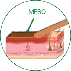 威客电竞(vkgame)-为竞技而生