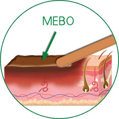 威客电竞(vkgame)-为竞技而生