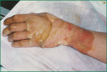 威客电竞(vkgame)-为竞技而生