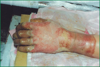 威客电竞(vkgame)-为竞技而生