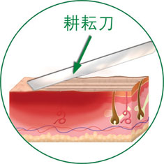 威客电竞(vkgame)-为竞技而生