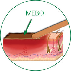 威客电竞(vkgame)-为竞技而生