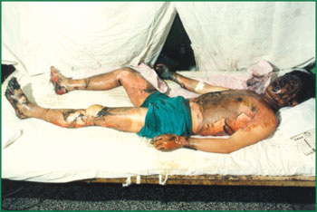 威客电竞(vkgame)-为竞技而生