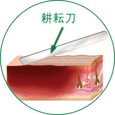 威客电竞(vkgame)-为竞技而生