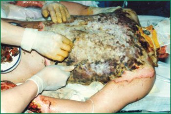 威客电竞(vkgame)-为竞技而生