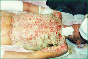 威客电竞(vkgame)-为竞技而生