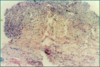 威客电竞(vkgame)-为竞技而生