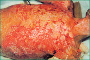 威客电竞(vkgame)-为竞技而生