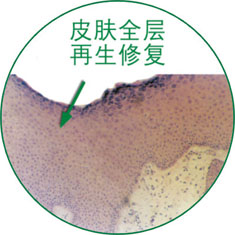 威客电竞(vkgame)-为竞技而生