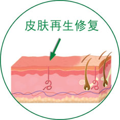 威客电竞(vkgame)-为竞技而生