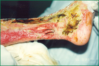 威客电竞(vkgame)-为竞技而生