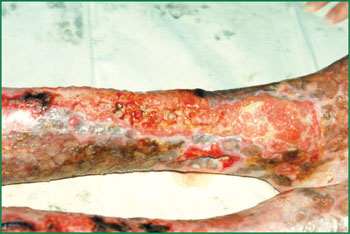 威客电竞(vkgame)-为竞技而生