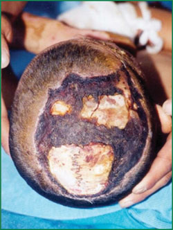 威客电竞(vkgame)-为竞技而生