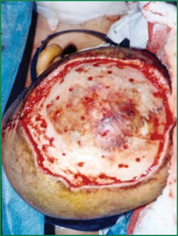 威客电竞(vkgame)-为竞技而生