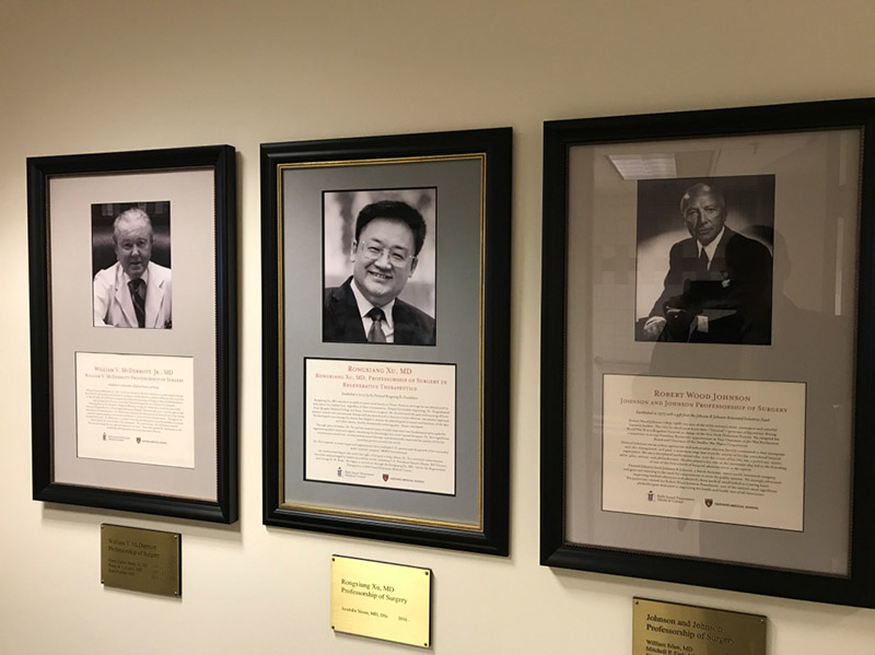 威客电竞(vkgame)-为竞技而生