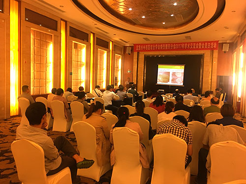 威客电竞(vkgame)-为竞技而生