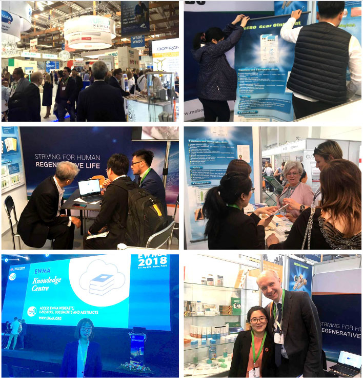 威客电竞(vkgame)-为竞技而生