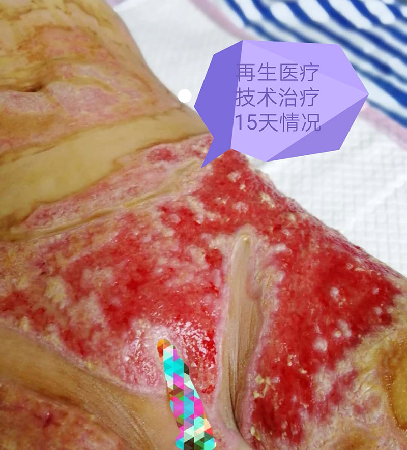 威客电竞(vkgame)-为竞技而生