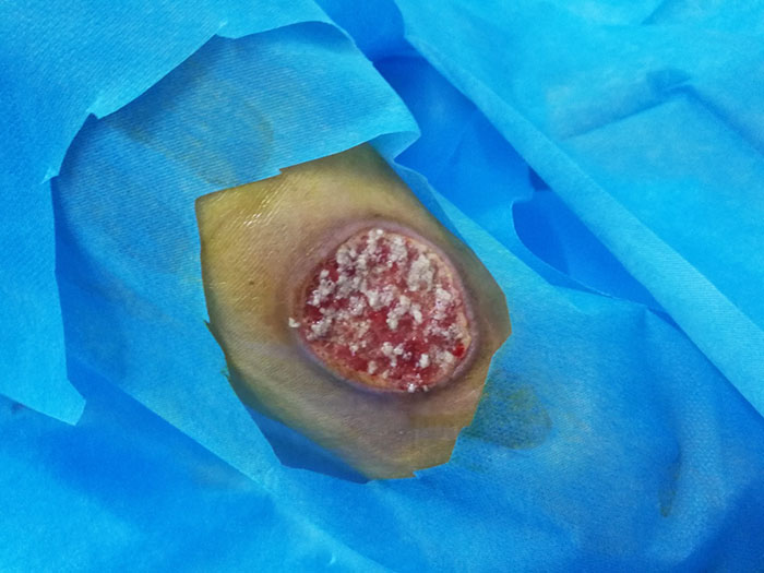 威客电竞(vkgame)-为竞技而生