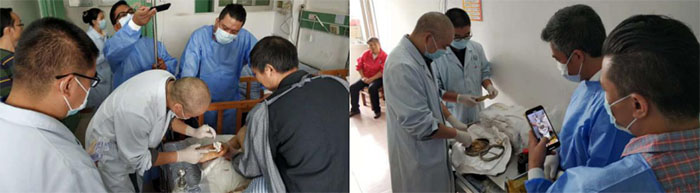 威客电竞(vkgame)-为竞技而生