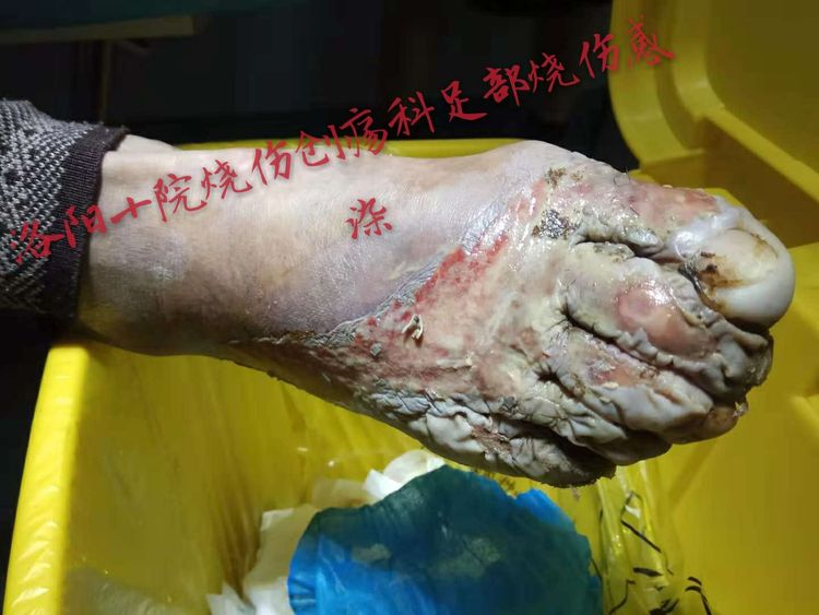 威客电竞(vkgame)-为竞技而生