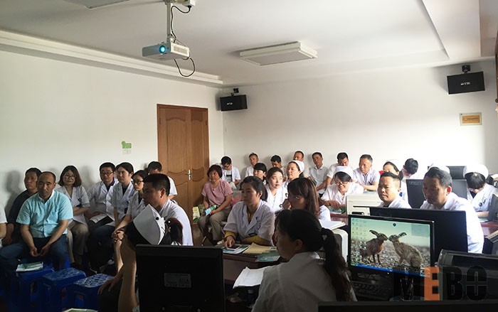 威客电竞(vkgame)-为竞技而生